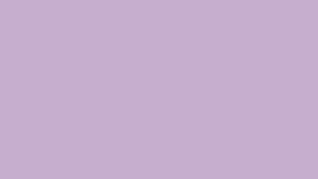 U2657 PE Фиолетовый